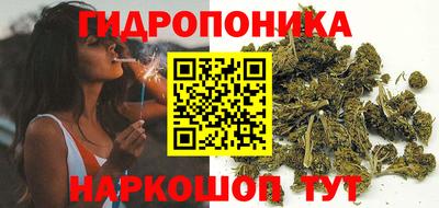 мдпв Аргун