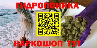 мдпв Аргун